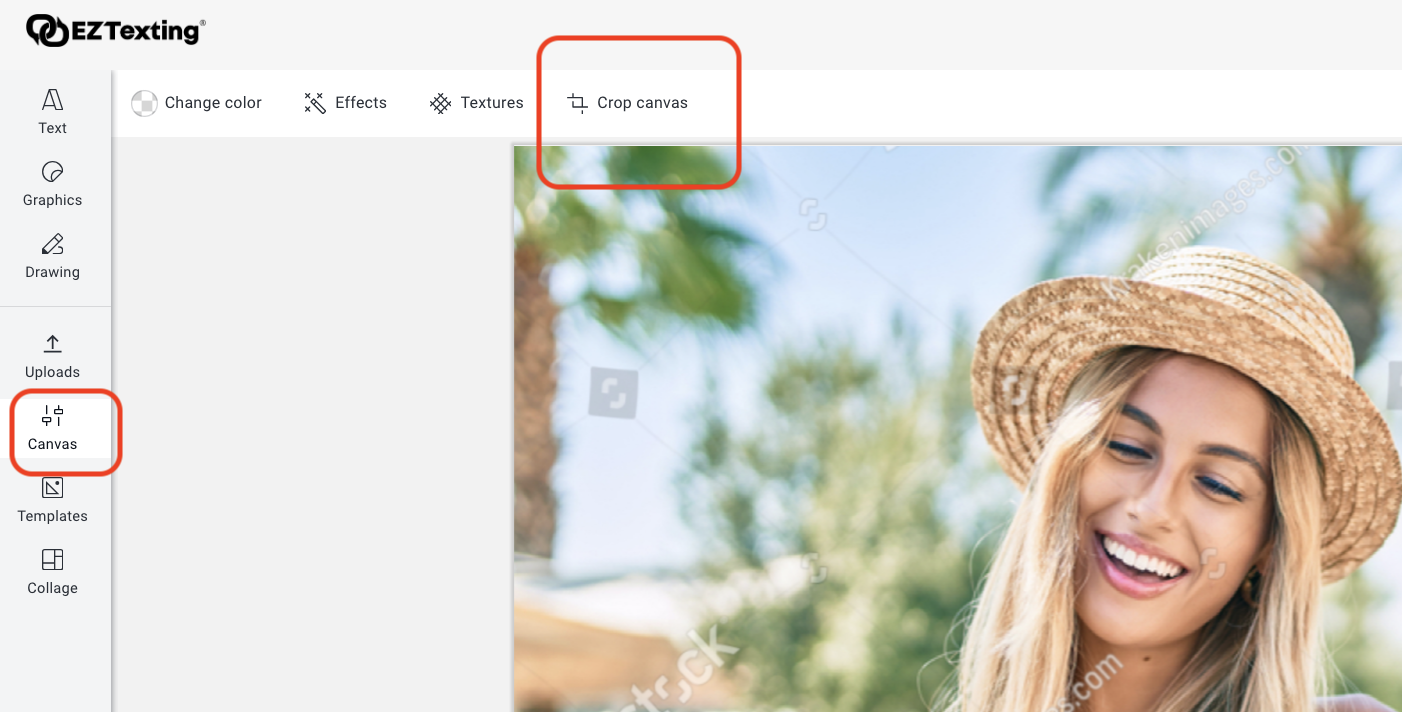How to Crop & Resize an Image with the Image Editor